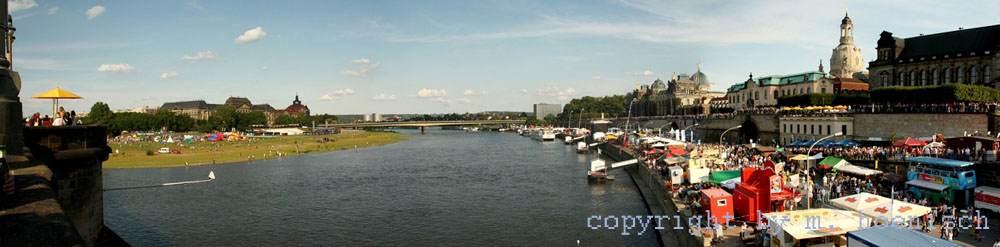 23 Dresden Elbwiesen