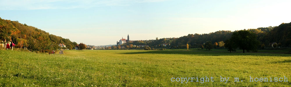 25 Elbwiesen Meissen-Dom