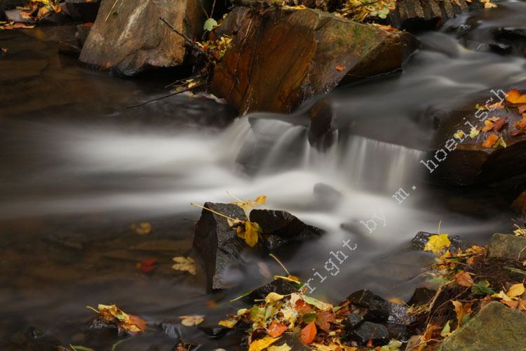 48 Bach an der Hllmühle