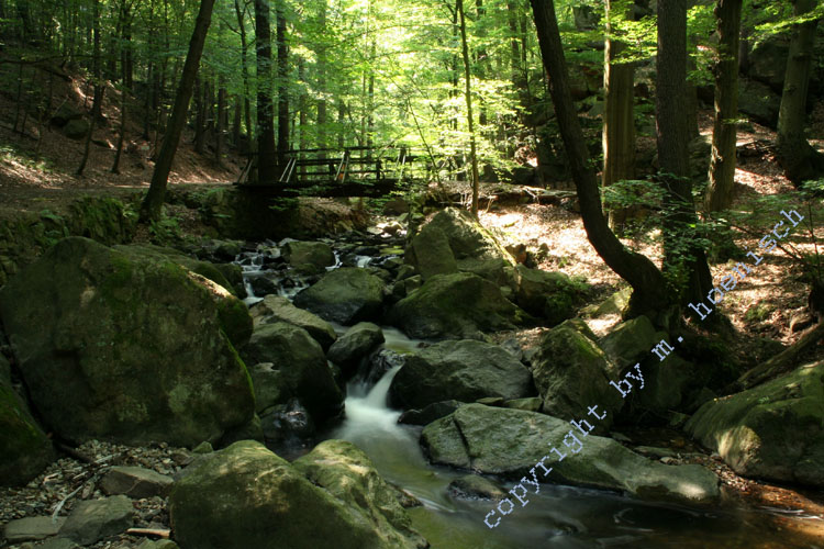 60-Brauset.270606 19