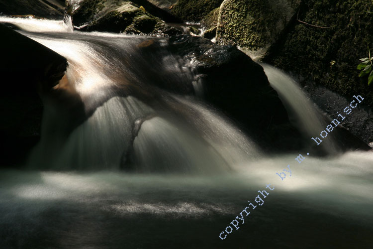 61- Brauset.270606 07