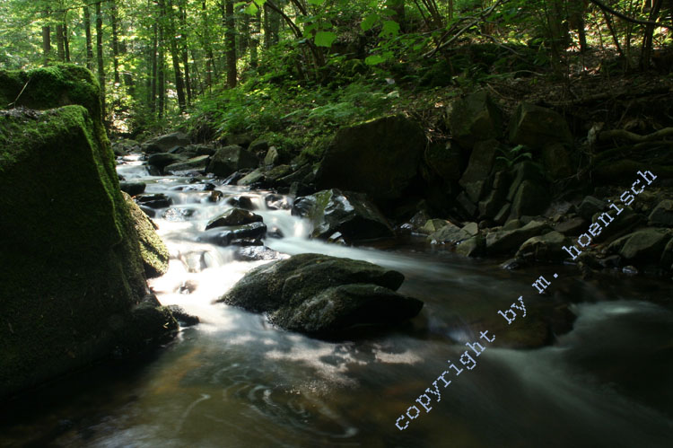 62-Brauset.270606 08