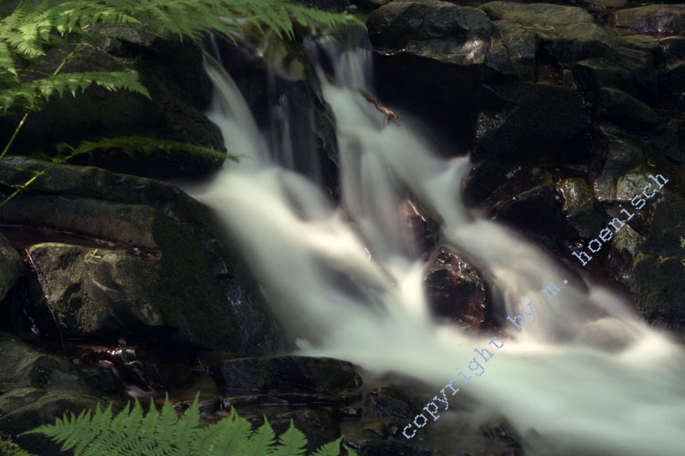 63-Brauset.270606 16x